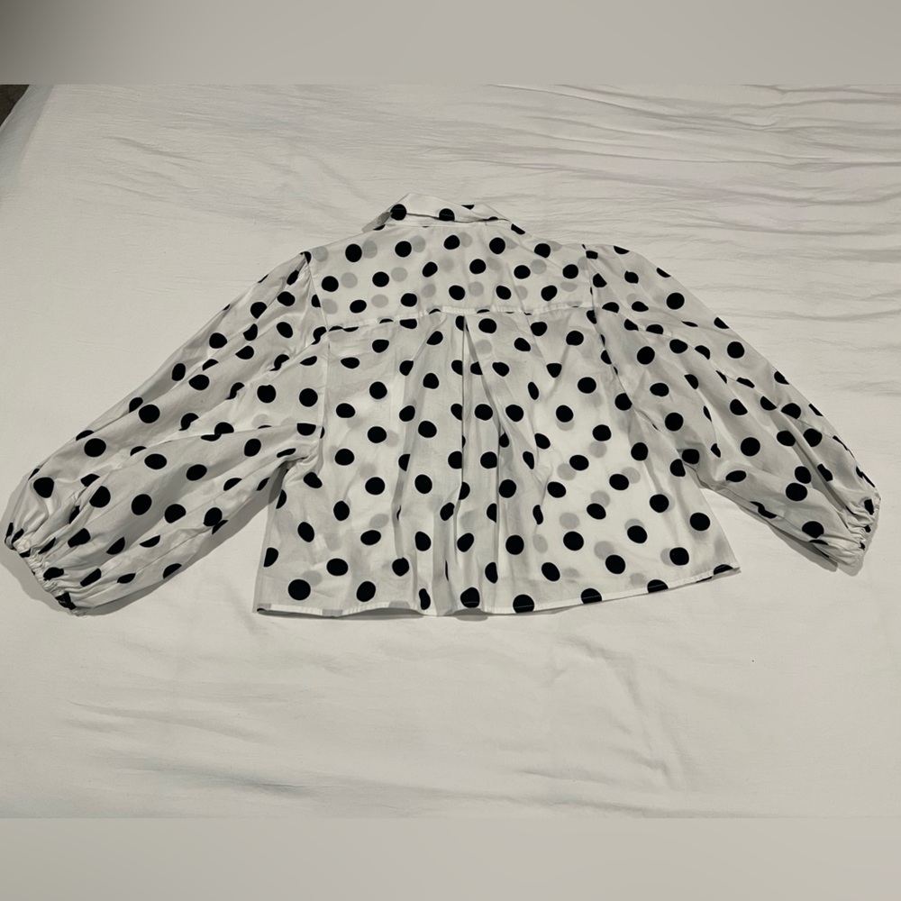 Zara Polka Dot Button-Up Cropped Blouse - Picture 6 of 6